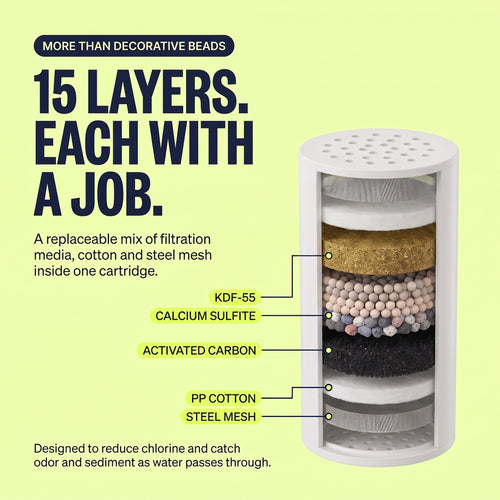 The Filtered Shower Head