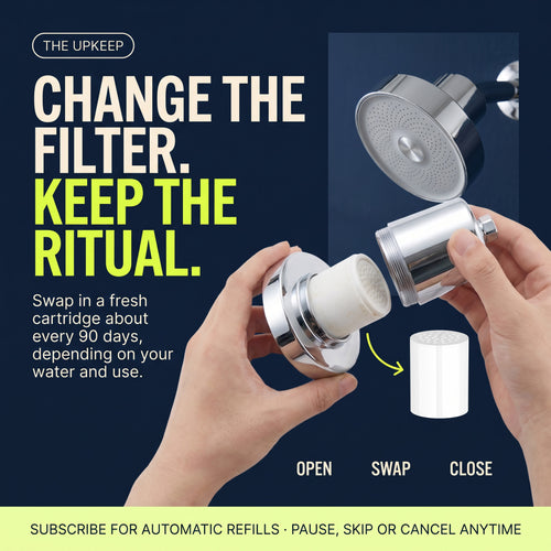 The Filtered Shower Head